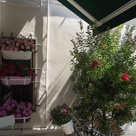 Appartamento La Casina Пістоя Екстер'єр фото